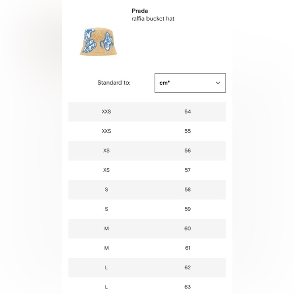 Prada Raffia Bucket Hat - Picture 4 of 6